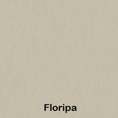 Floripa.jpg
